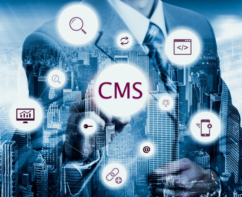 CMS Development